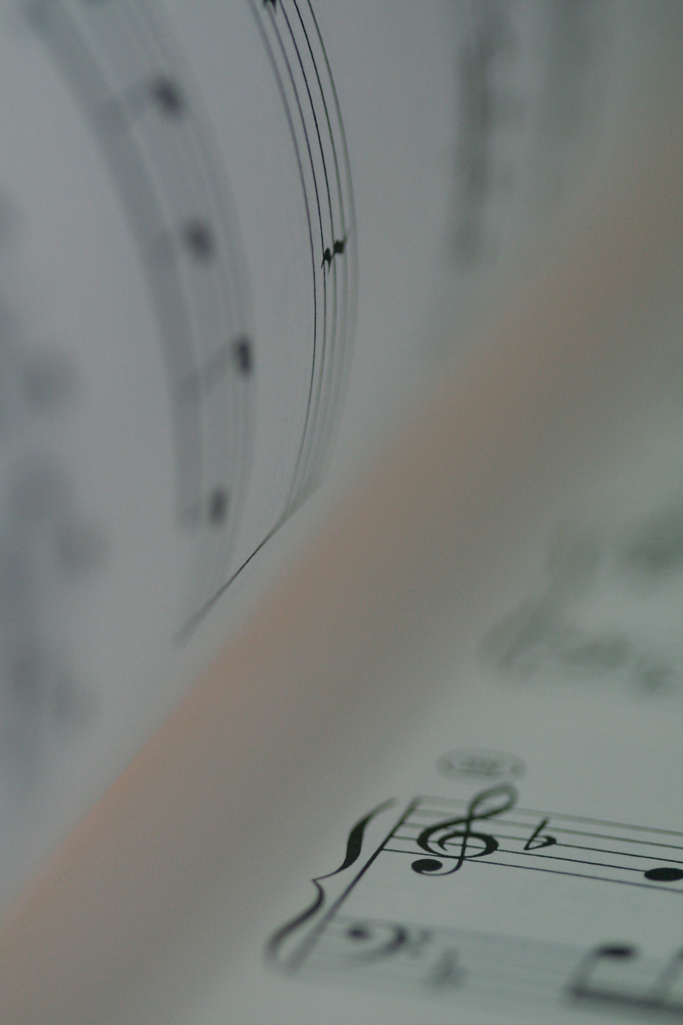 ©Thomas Kinto on Unplash